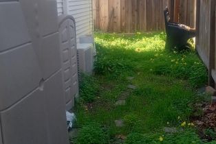 Single Family Residence,  Broadway street, Petaluma, CA 94952 - 48