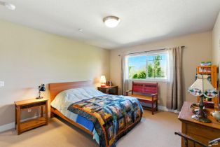 Single Family Residence, 834 Litchfield avenue, Sebastopol, CA 95472 - 34