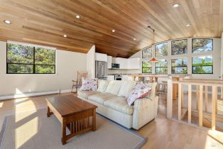 Single Family Residence, Sea Ridge road, Sea Ranch, CA 95497 - 7