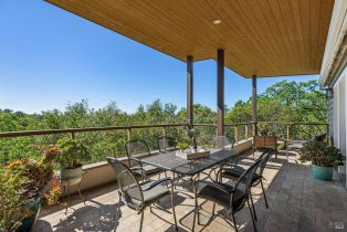 Single Family Residence,  Silverado trail, Napa, CA 94558 - 30