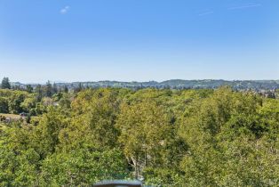Single Family Residence,  Silverado trail, Napa, CA 94558 - 43