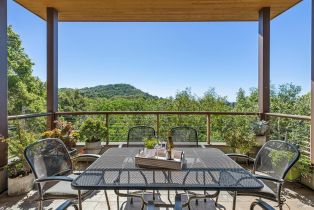 Single Family Residence,  Silverado trail, Napa, CA 94558 - 29