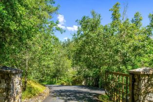 Single Family Residence,  Redwood road, Napa, CA 94558 - 7