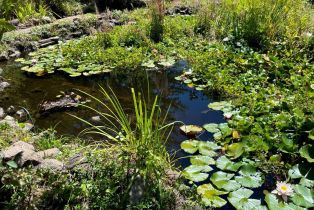 Single Family Residence,  3rd avenue, Napa, CA 94558 - 91