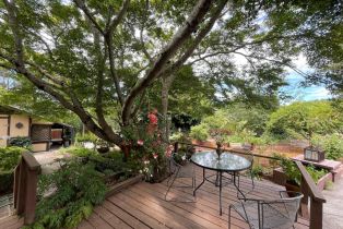 Single Family Residence,  3rd avenue, Napa, CA 94558 - 31