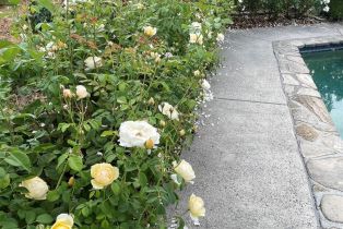 Single Family Residence,  3rd avenue, Napa, CA 94558 - 34