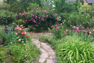 Single Family Residence,  3rd avenue, Napa, CA 94558 - 86