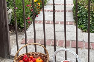 Single Family Residence,  3rd avenue, Napa, CA 94558 - 95