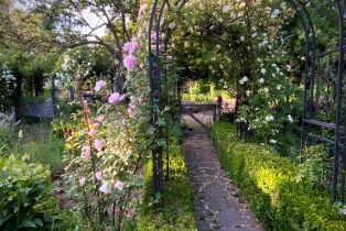 Single Family Residence,  3rd avenue, Napa, CA 94558 - 82