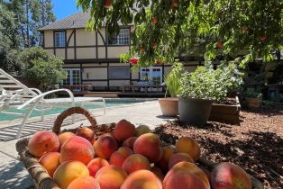 Single Family Residence,  3rd avenue, Napa, CA 94558 - 32