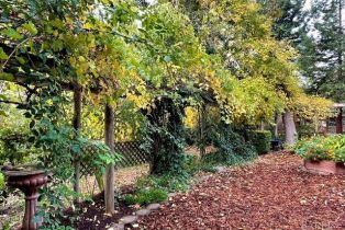 Single Family Residence,  3rd avenue, Napa, CA 94558 - 72