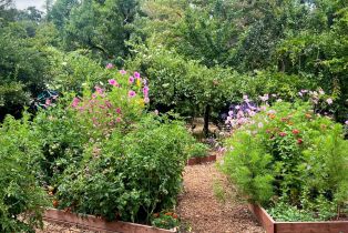 Single Family Residence,  3rd avenue, Napa, CA 94558 - 8