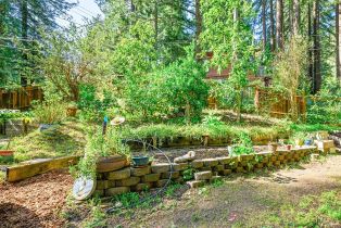Single Family Residence,  Summit avenue, Russian River, CA 95446 - 39