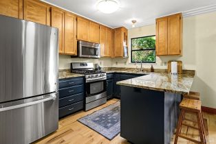 Single Family Residence,  Summit avenue, Russian River, CA 95446 - 11