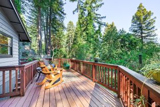 Single Family Residence,  Summit avenue, Russian River, CA 95446 - 17