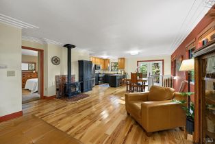 Single Family Residence,  Summit avenue, Russian River, CA 95446 - 6