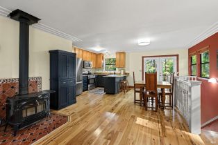 Single Family Residence,  Summit avenue, Russian River, CA 95446 - 8