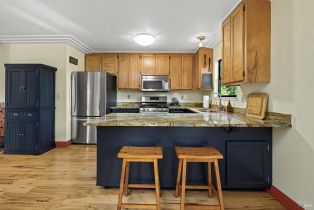 Single Family Residence,  Summit avenue, Russian River, CA 95446 - 12