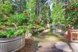Single Family Residence,  Summit avenue, Russian River, CA 95446 - 38