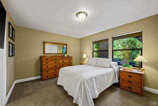 Single Family Residence,  Summit avenue, Russian River, CA 95446 - 23