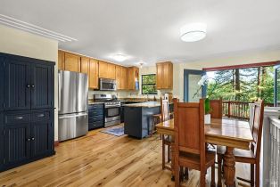 Single Family Residence,  Summit avenue, Russian River, CA 95446 - 9
