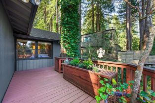 Single Family Residence,  Summit avenue, Russian River, CA 95446 - 21