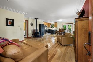 Single Family Residence,  Summit avenue, Russian River, CA 95446 - 5