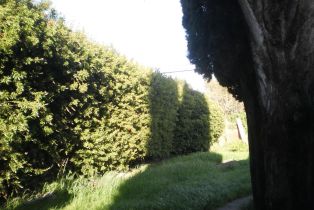 Single Family Residence,  Corby avenue, Santa Rosa, CA 95407 - 4