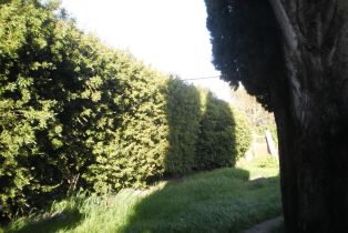 Single Family Residence,  Corby avenue, Santa Rosa, CA 95407 - 8