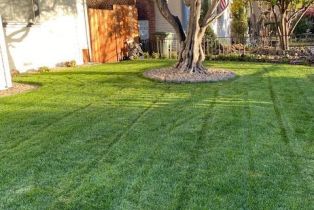 Single Family Residence, 1018 Spring street, Santa Rosa, CA 95404 - 83