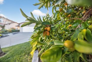 Single Family Residence,  Esparto court, Windsor, CA 95492 - 2