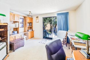 Residential Acreage,  Badger Creek road, Santa Rosa, CA 95409 - 18