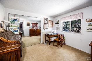 Residential Acreage,  Badger Creek road, Santa Rosa, CA 95409 - 20