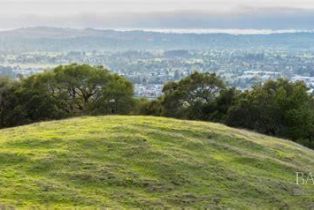 Single Family Residence,  Oak Glen drive, Santa Rosa, CA 95404 - 53