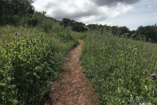 Single Family Residence,  Oak Glen drive, Santa Rosa, CA 95404 - 52