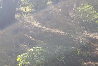 Residential Lot,  Old Monte Rio road, Russian River, CA 95446 - 4