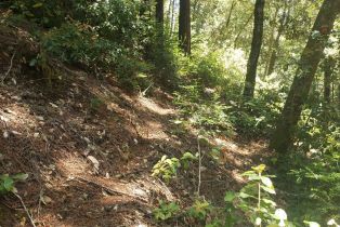 Residential Lot,  Old Monte Rio road, Russian River, CA 95446 - 13