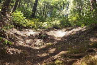 Land, 18190 Old Monte Rio Rd, Russian River, CA  Russian River, CA 95446