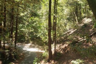 Residential Lot,  Old Monte Rio road, Russian River, CA 95446 - 18