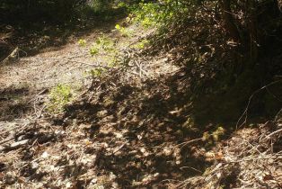 Residential Lot,  Old Monte Rio road, Russian River, CA 95446 - 9