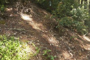 Residential Lot,  Old Monte Rio road, Russian River, CA 95446 - 12