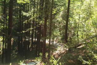 Residential Lot,  Old Monte Rio road, Russian River, CA 95446 - 7