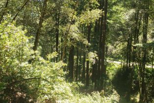 Residential Lot,  Old Monte Rio road, Russian River, CA 95446 - 17