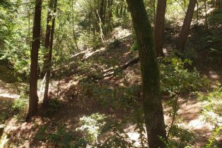 Residential Lot,  Old Monte Rio road, Russian River, CA 95446 - 14