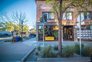 Condominium,  North street, Healdsburg, CA 95448 - 41