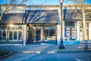 Condominium,  North street, Healdsburg, CA 95448 - 27