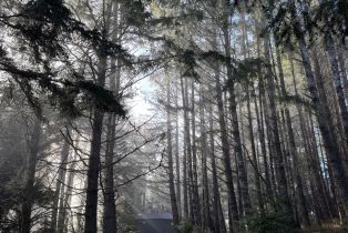 Single Family Residence,  River Beach road, Sea Ranch, CA 95497 - 43