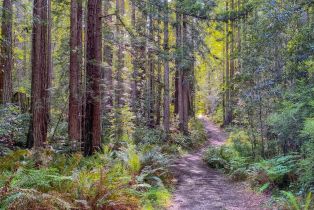 Single Family Residence,  River Beach road, Sea Ranch, CA 95497 - 46