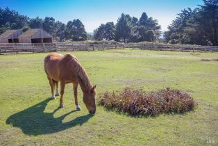 Single Family Residence,  River Beach road, Sea Ranch, CA 95497 - 54