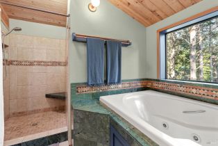 Single Family Residence,  River Beach road, Sea Ranch, CA 95497 - 34